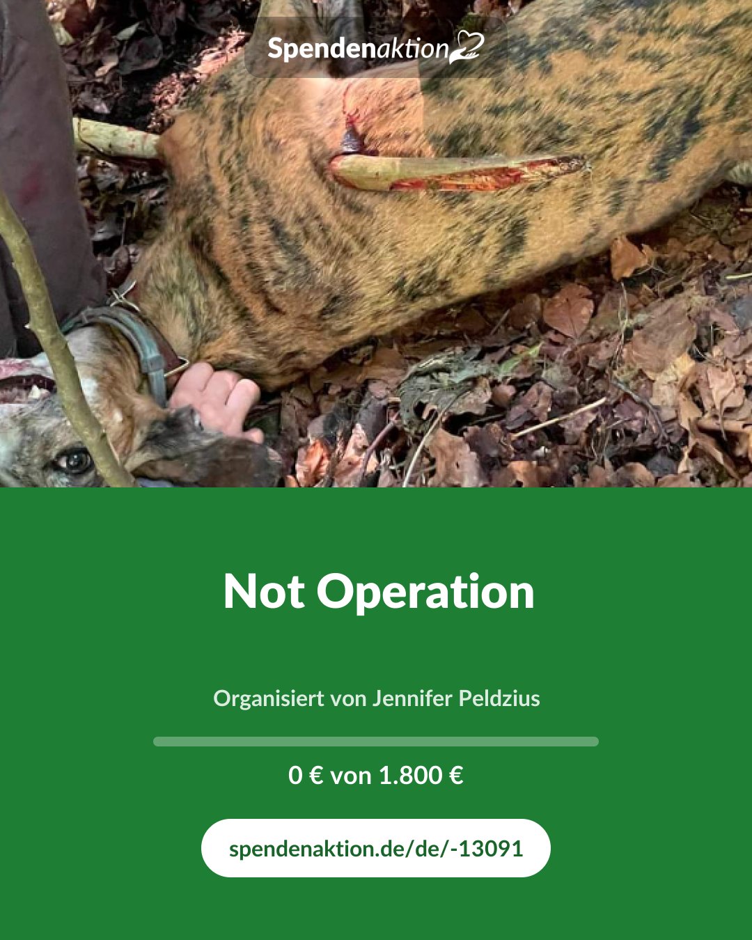 Vorschau des Bildes