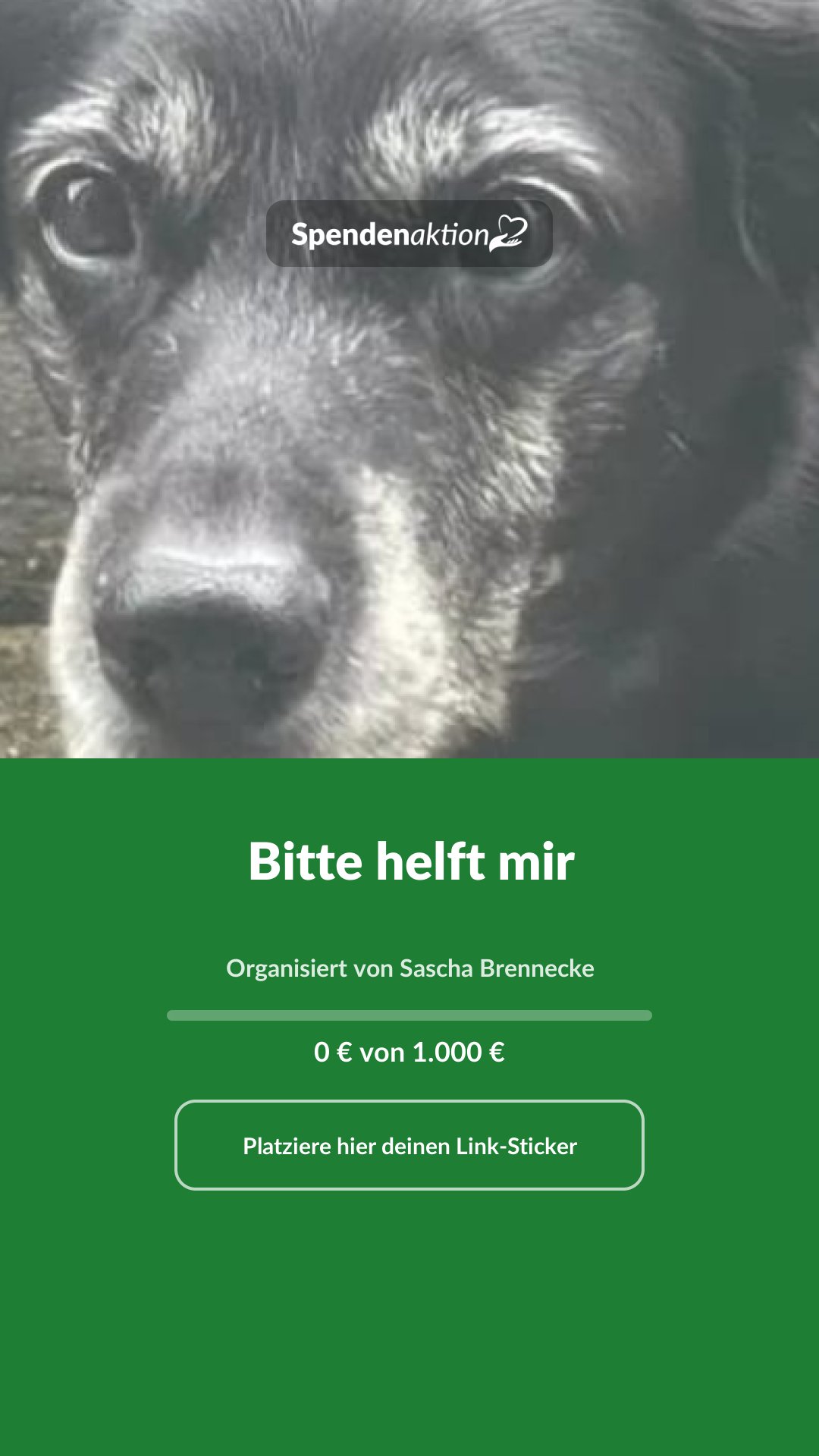 Vorschau des Bildes