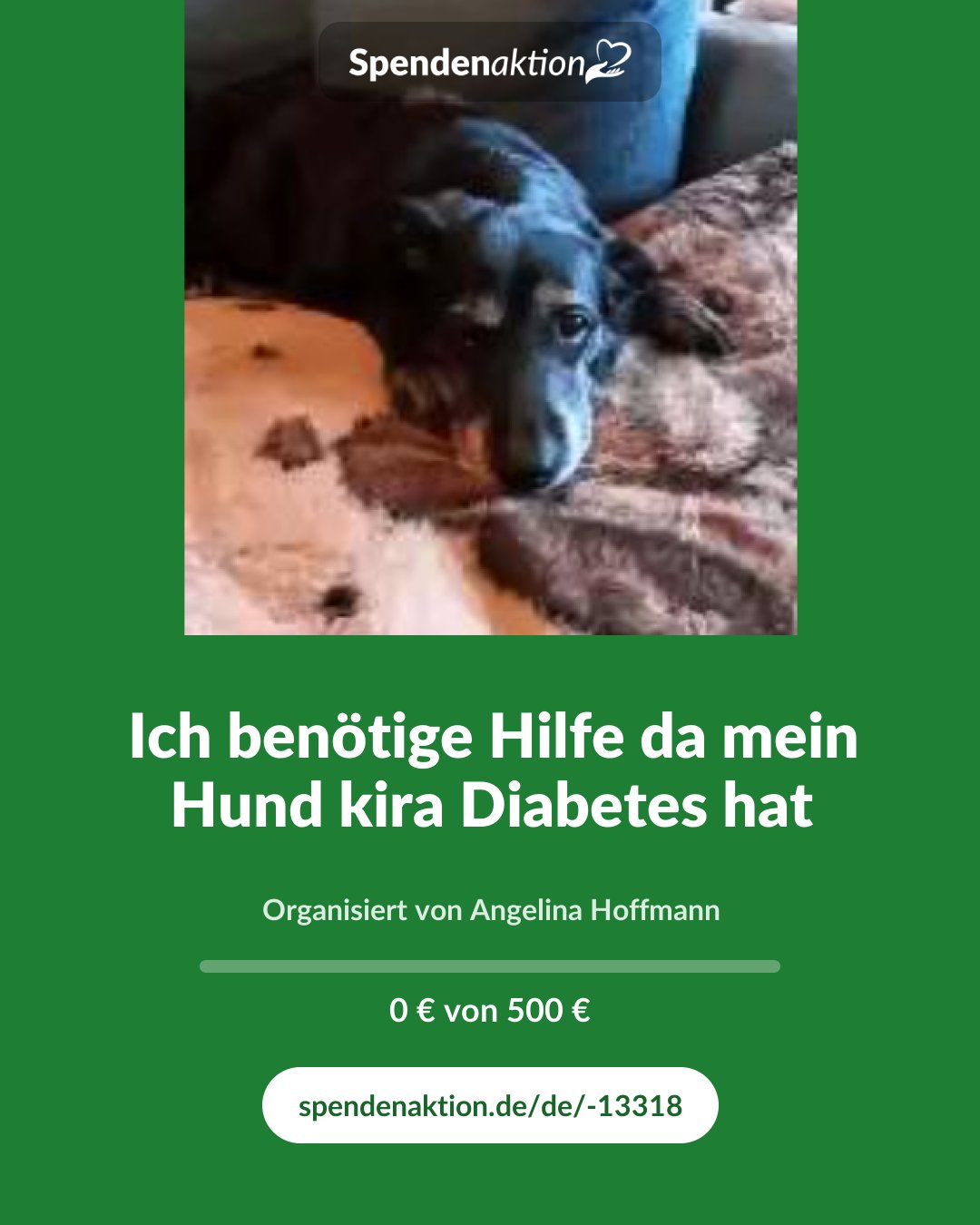 Vorschau des Bildes