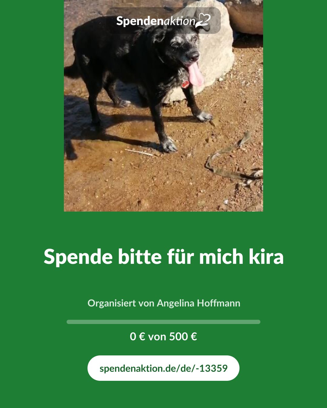 Vorschau des Bildes
