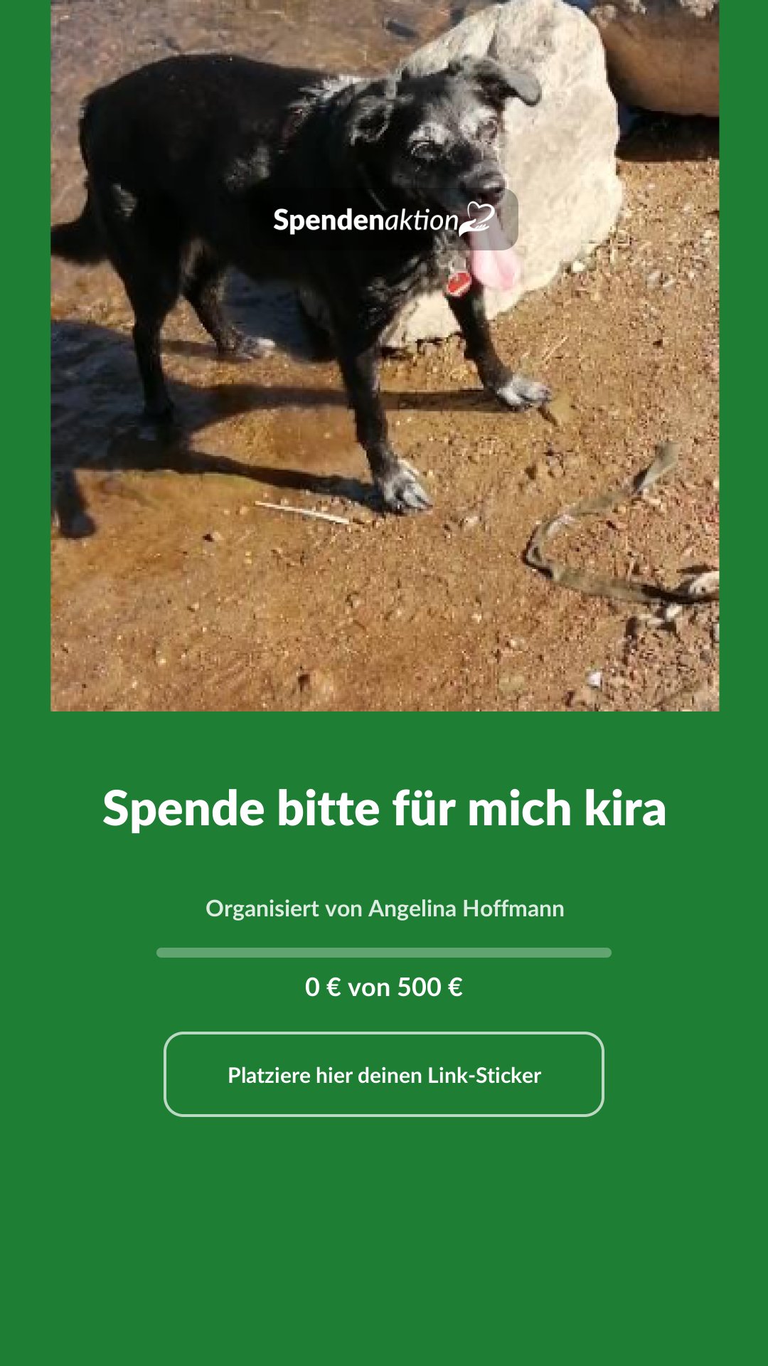 Vorschau des Bildes