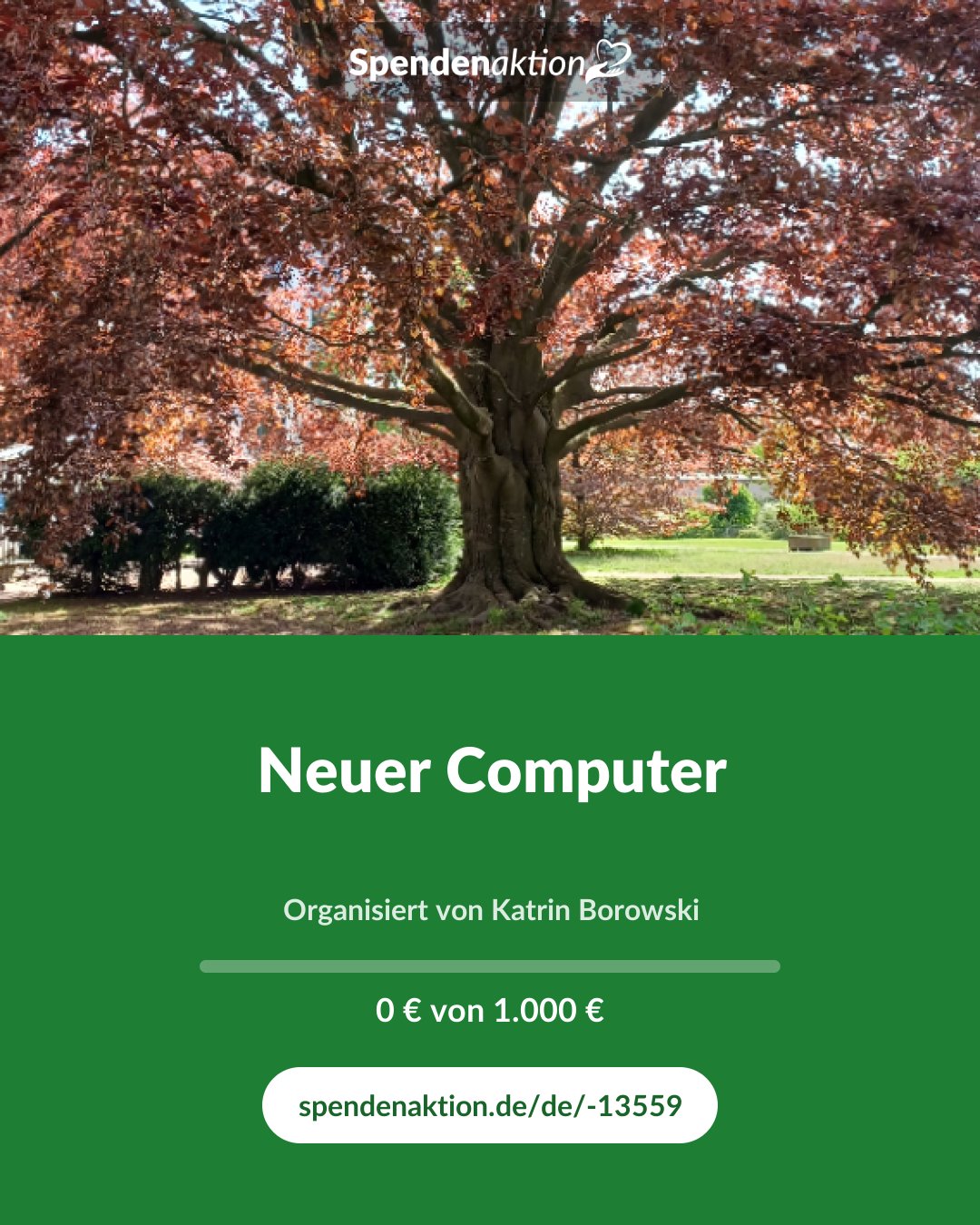 Vorschau des Bildes