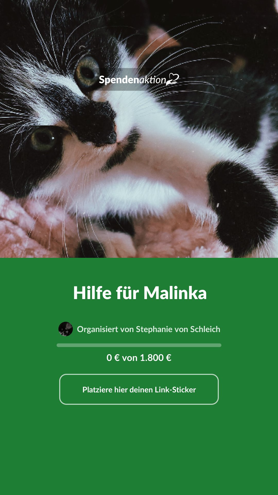 Vorschau des Bildes