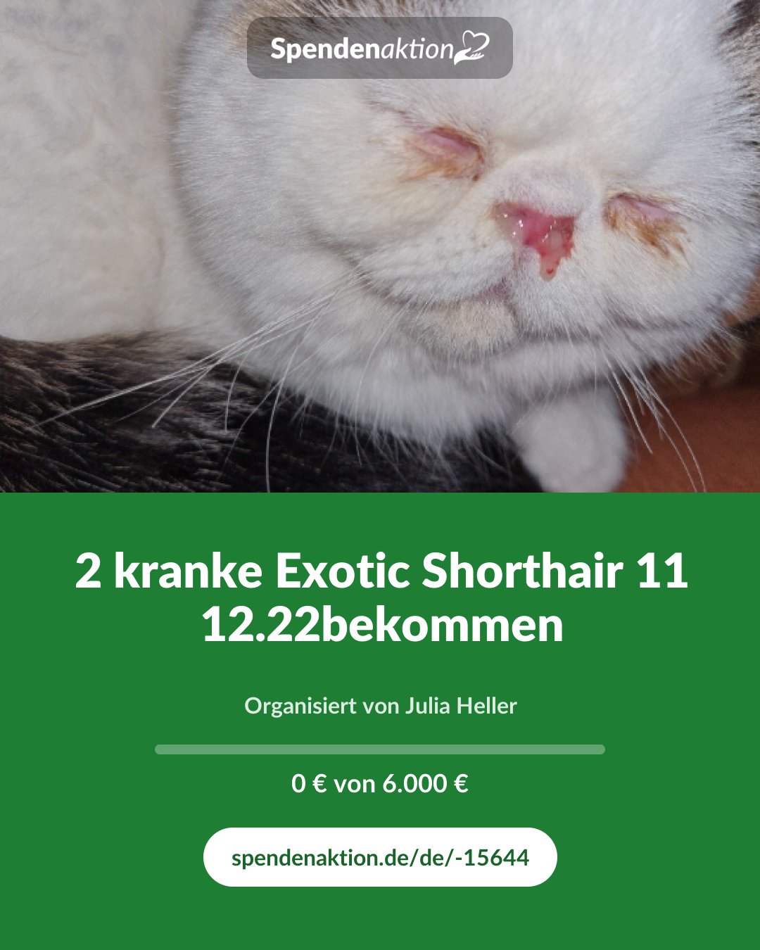 Vorschau des Bildes