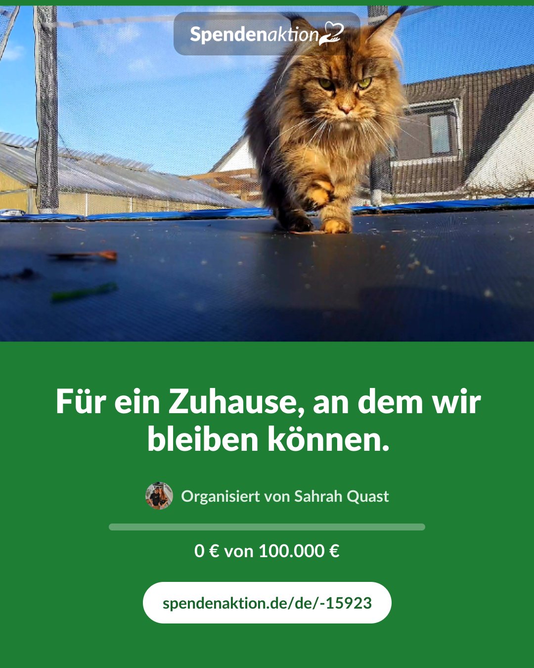 Vorschau des Bildes