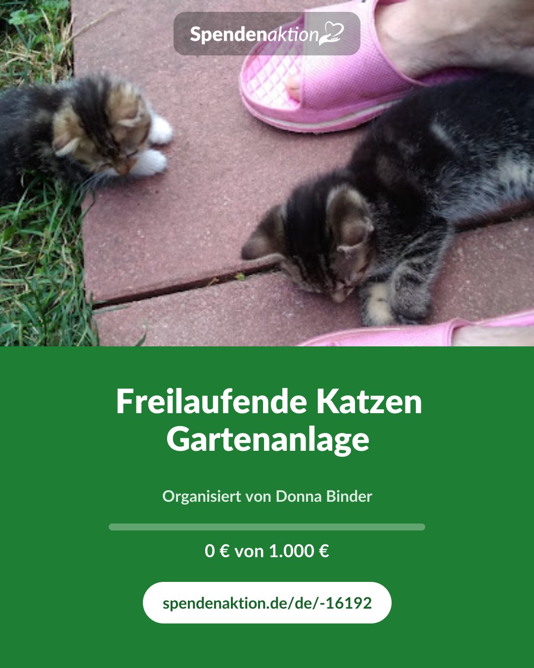 Vorschau des Bildes