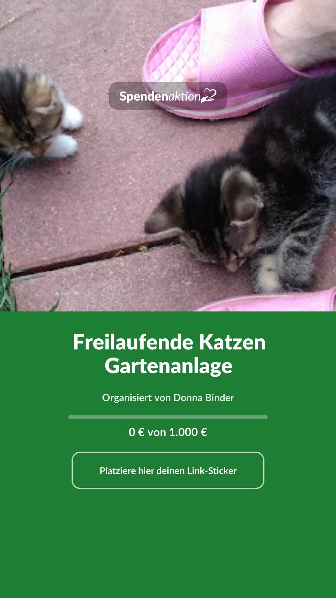 Vorschau des Bildes