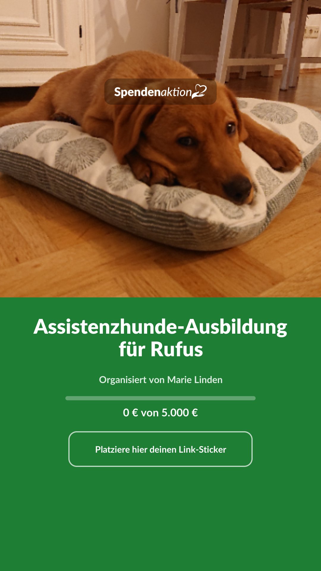 Vorschau des Bildes