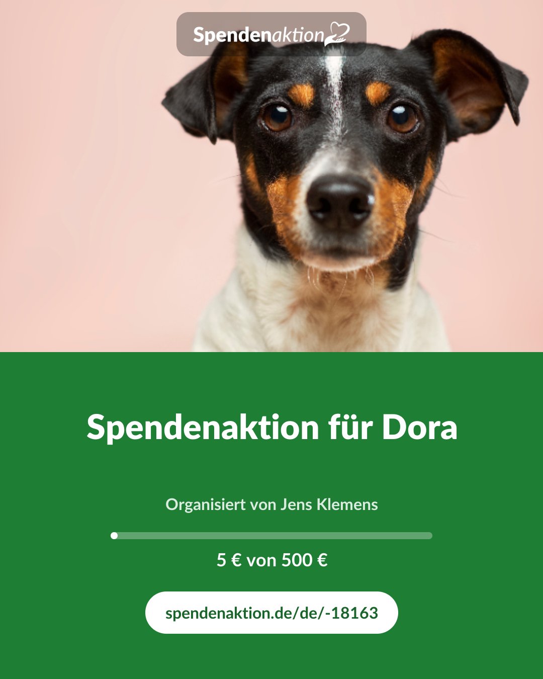 Vorschau des Bildes