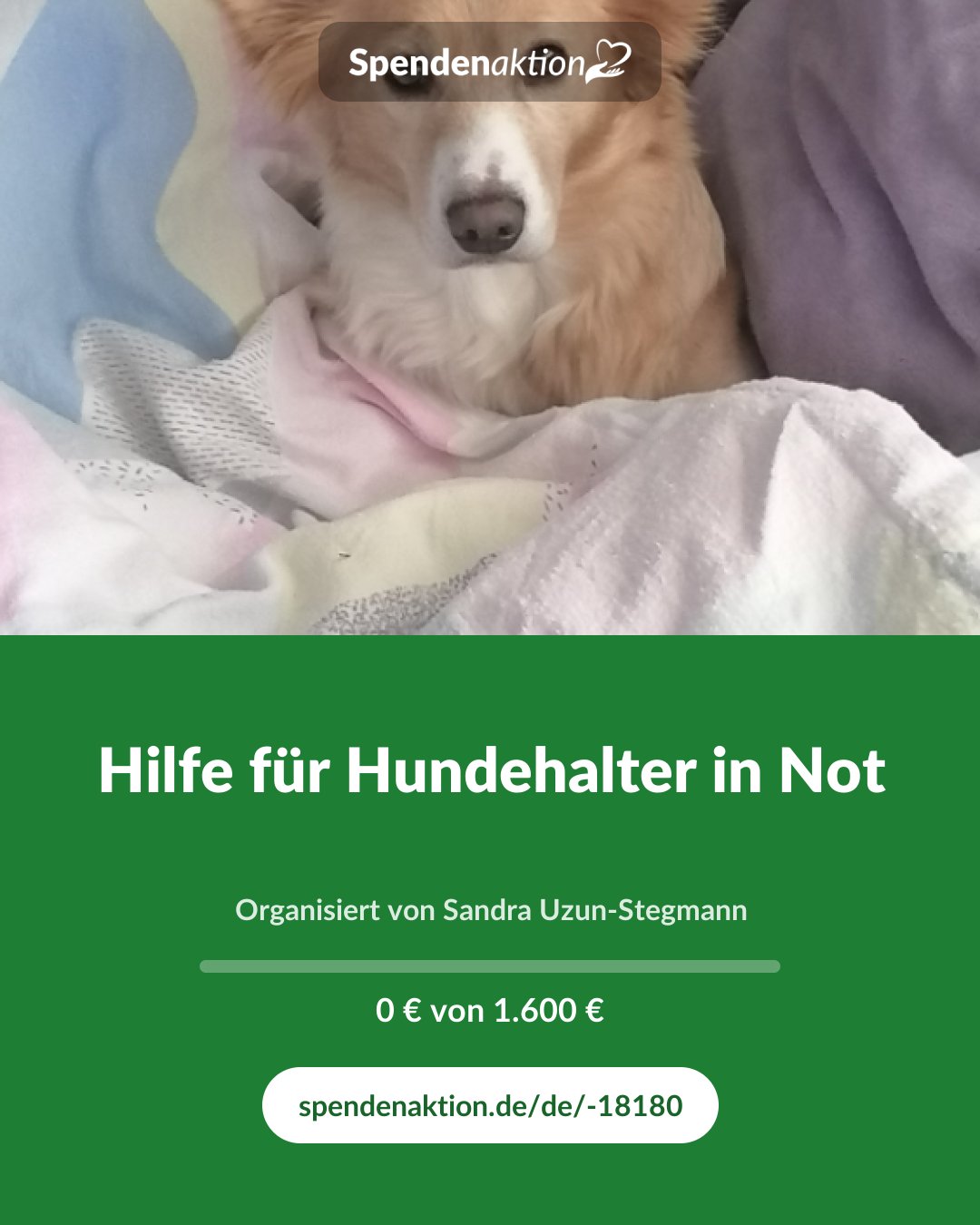Vorschau des Bildes