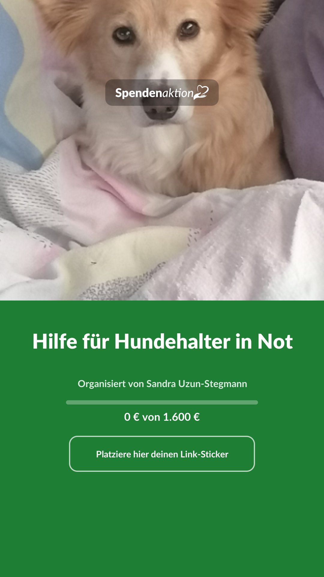 Vorschau des Bildes