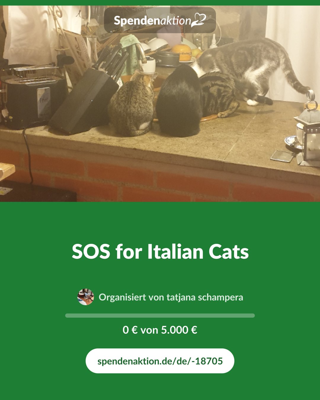 Vorschau des Bildes
