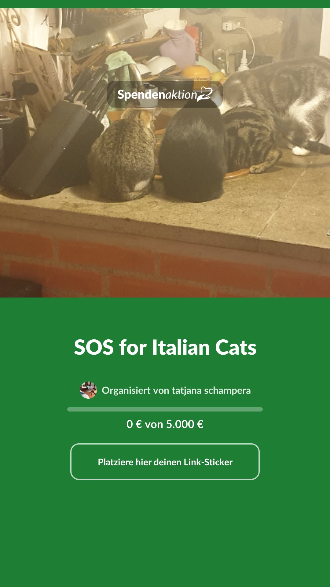 Vorschau des Bildes