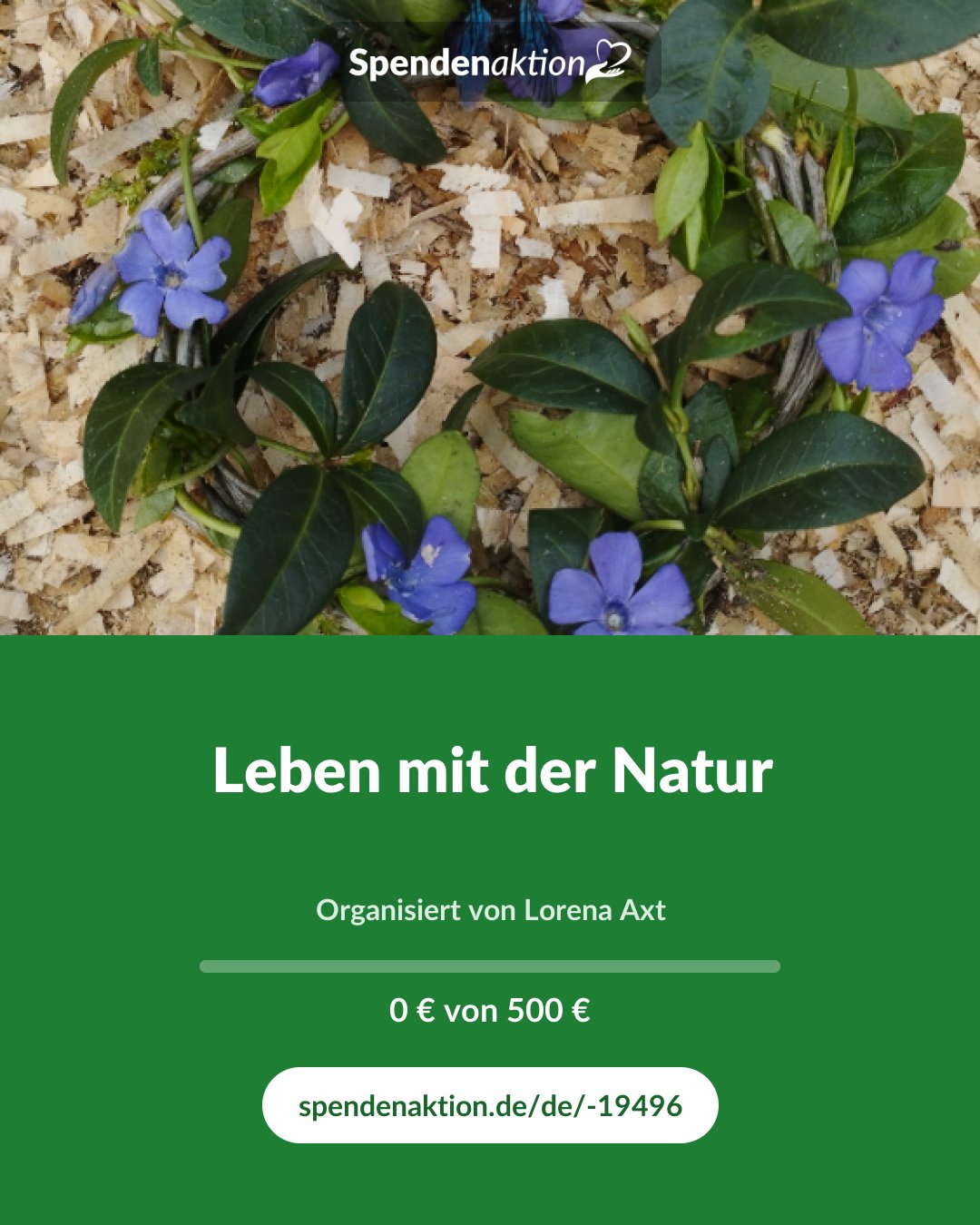 Vorschau des Bildes