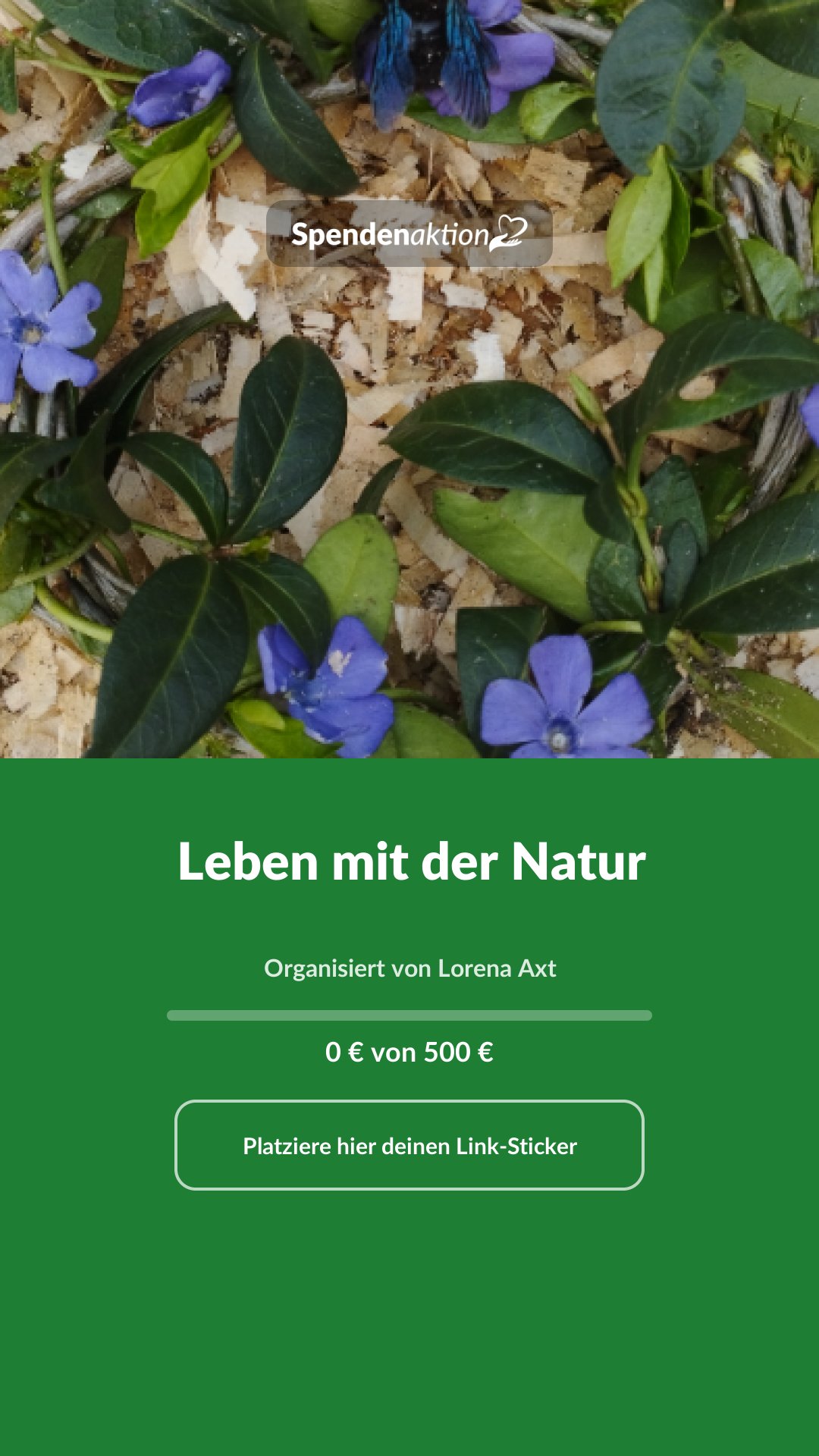 Vorschau des Bildes