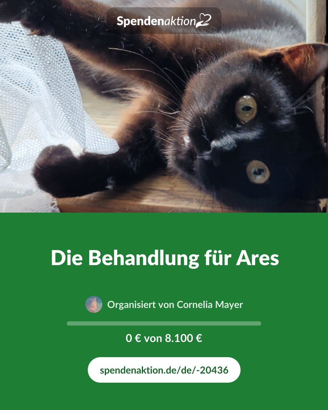 Vorschau des Bildes