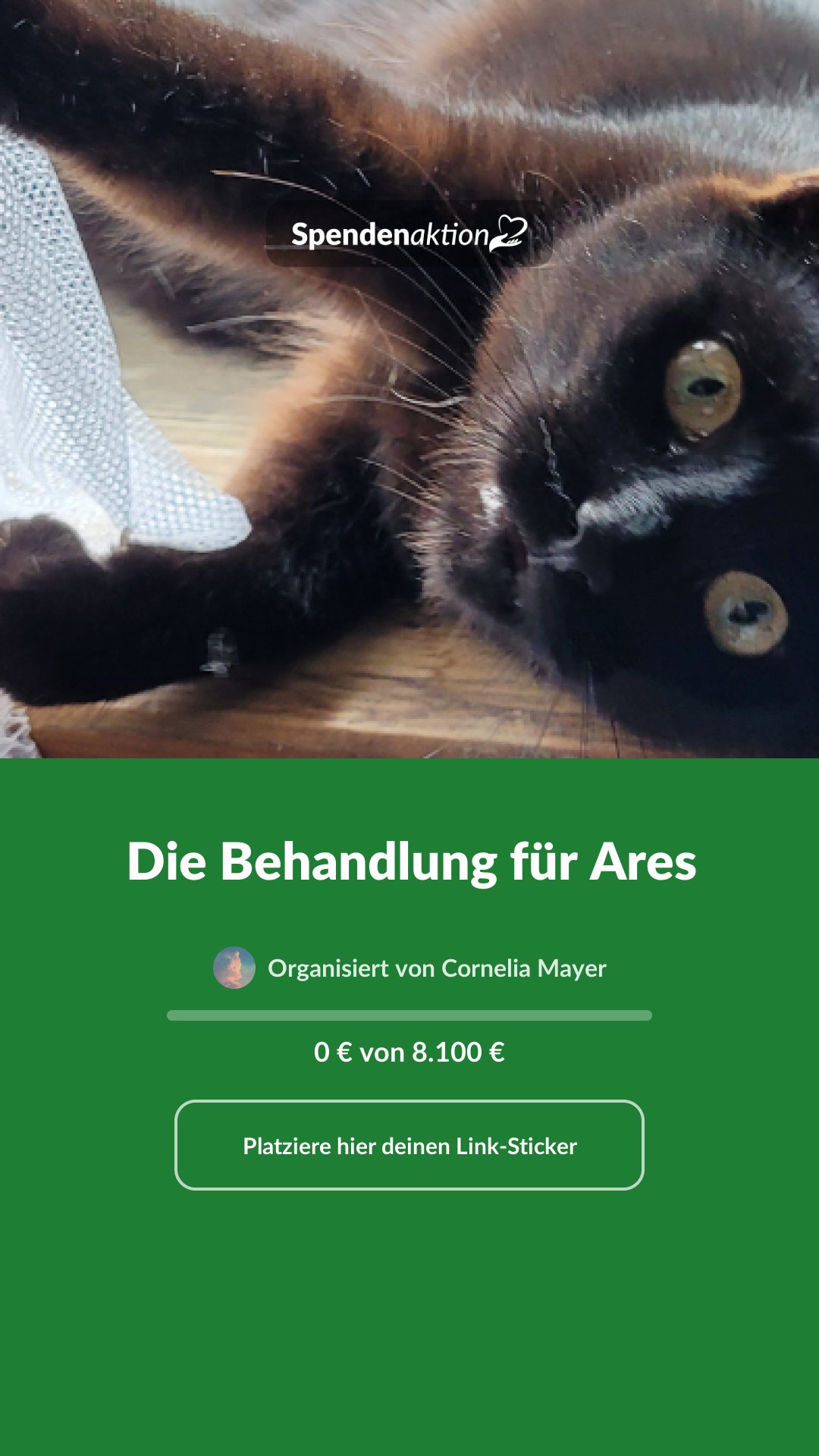 Vorschau des Bildes