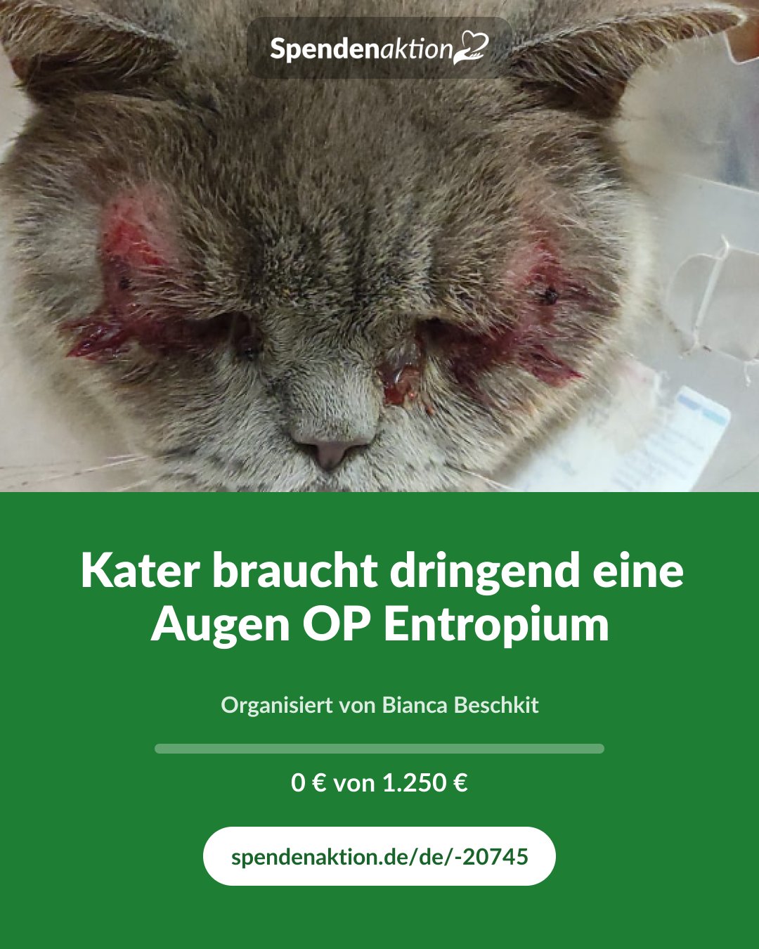 Vorschau des Bildes