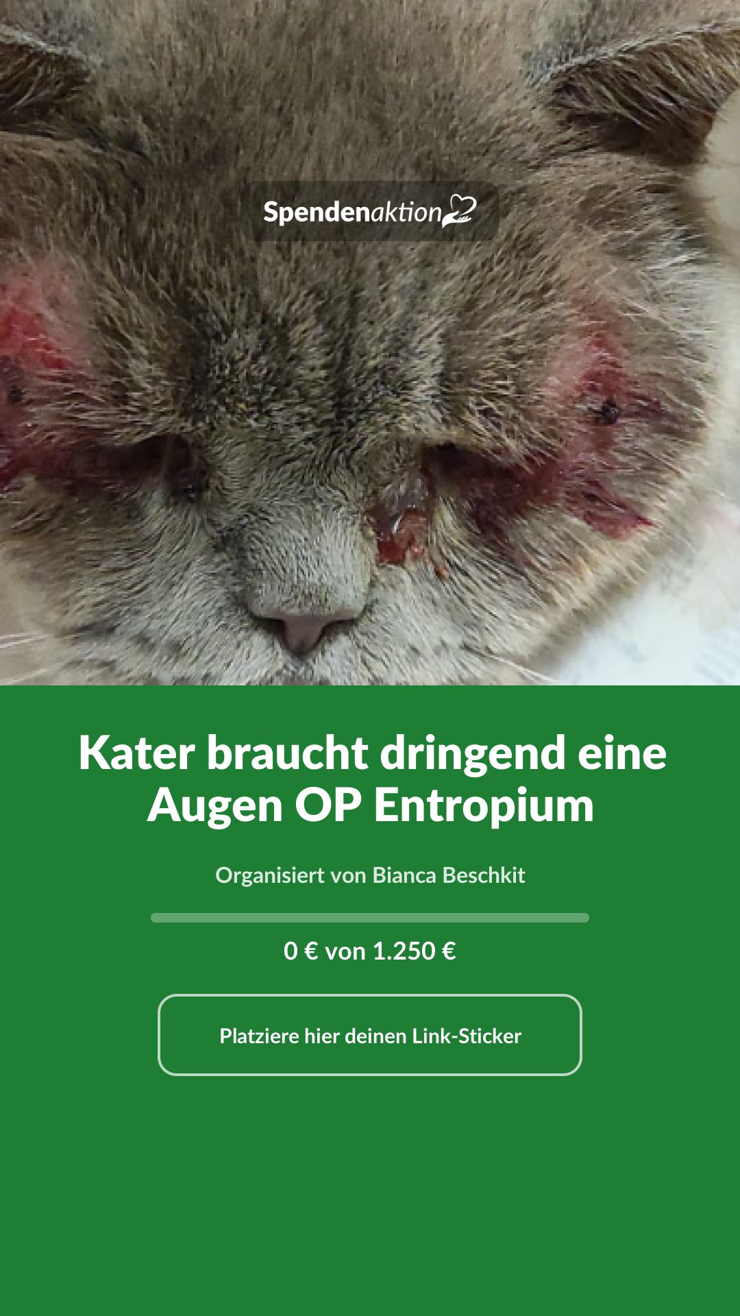 Vorschau des Bildes
