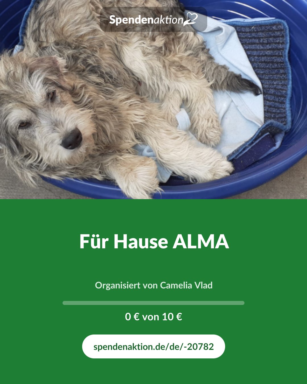 Vorschau des Bildes