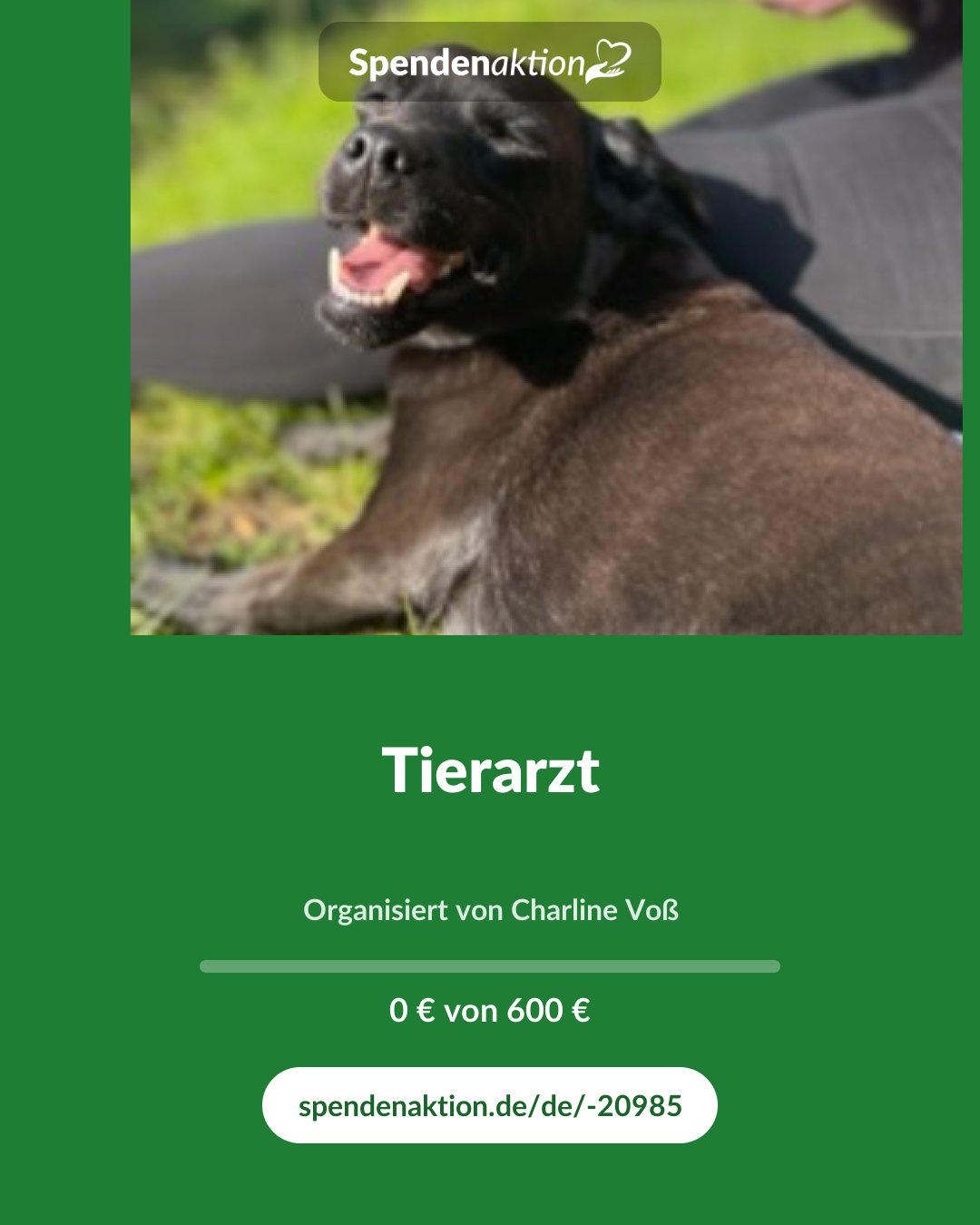 Vorschau des Bildes