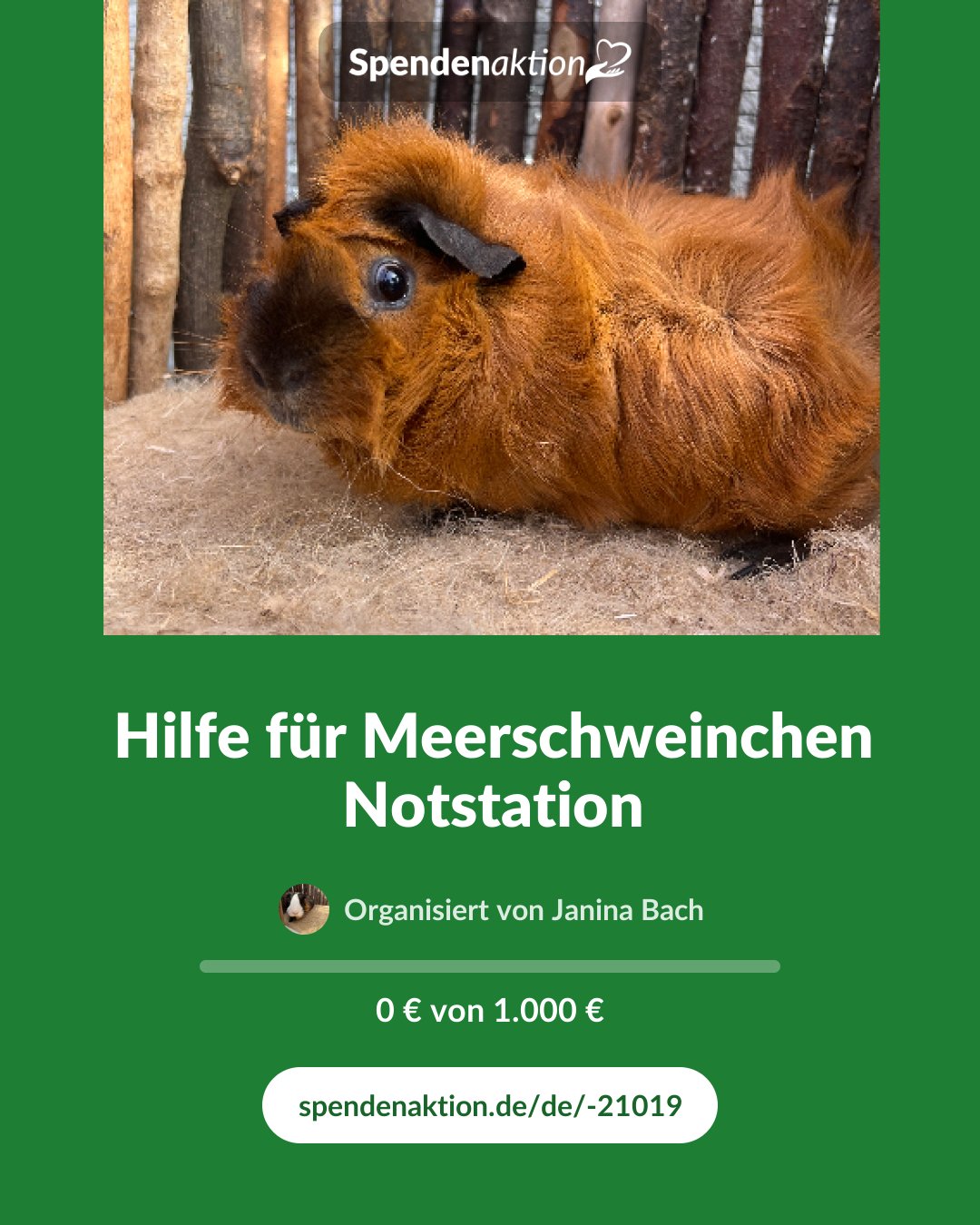 Vorschau des Bildes