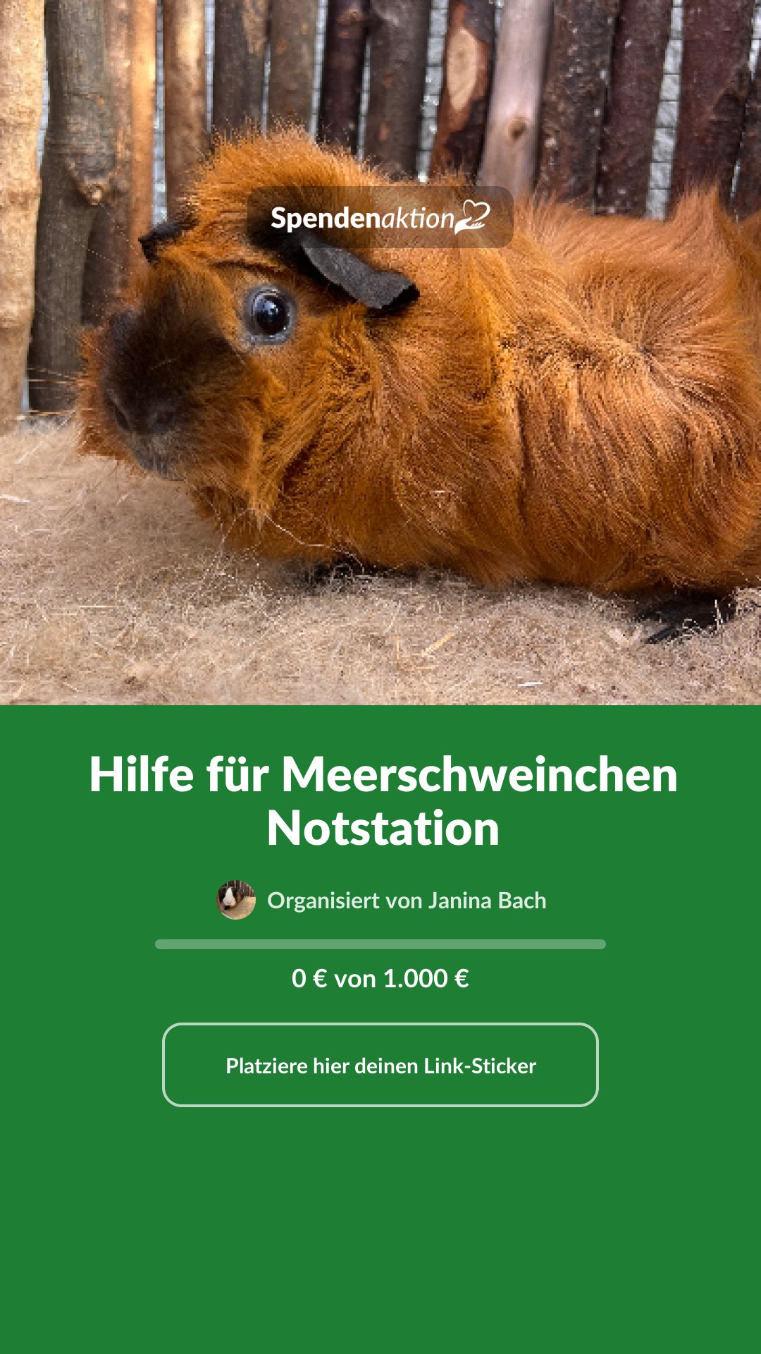 Vorschau des Bildes