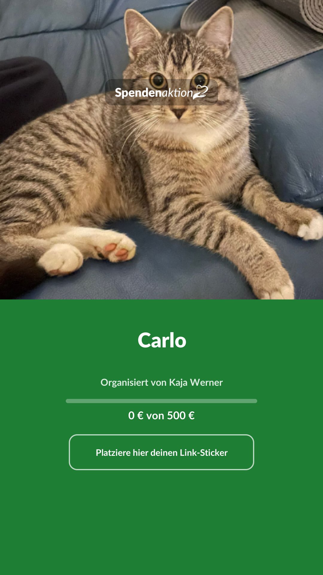 Vorschau des Bildes