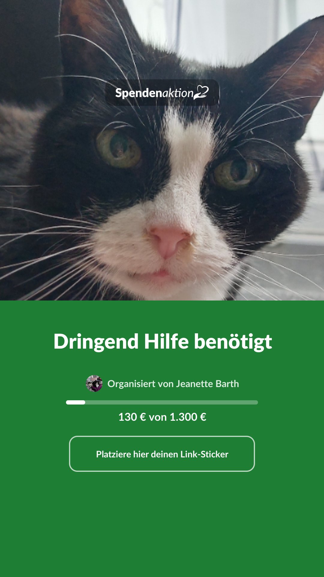 Vorschau des Bildes