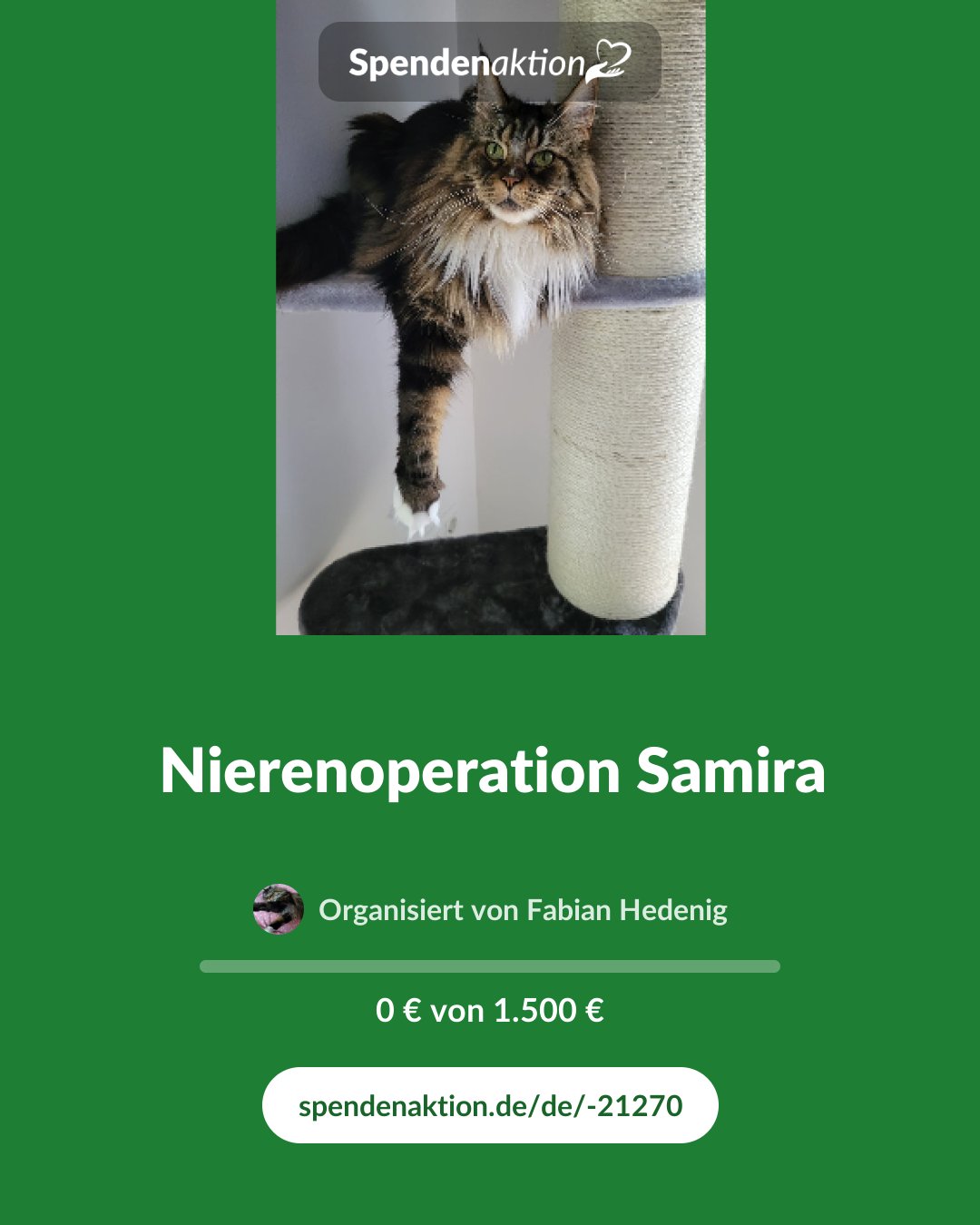 Vorschau des Bildes