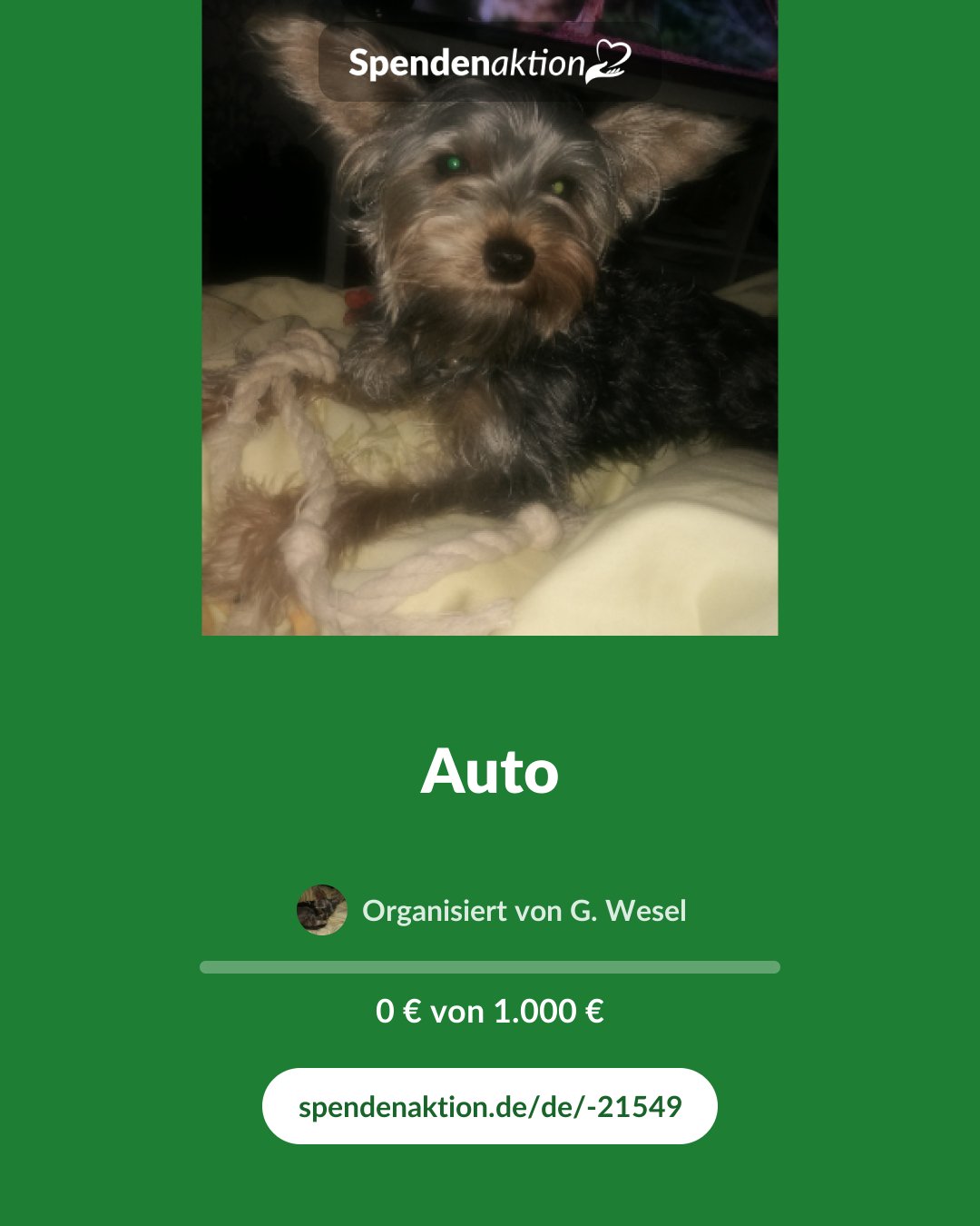 Vorschau des Bildes