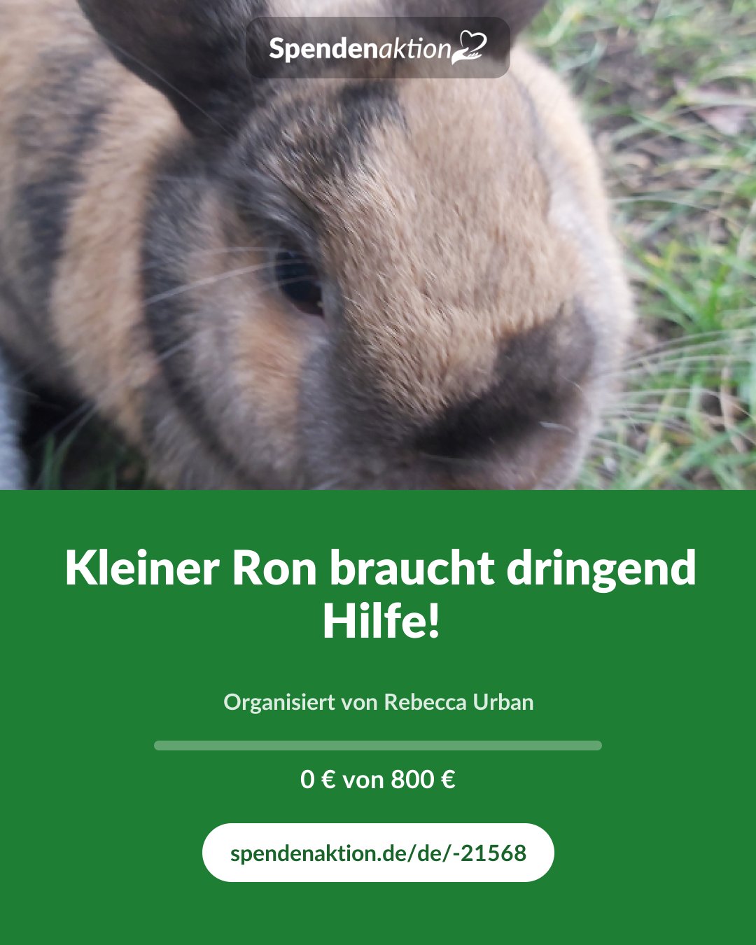 Vorschau des Bildes