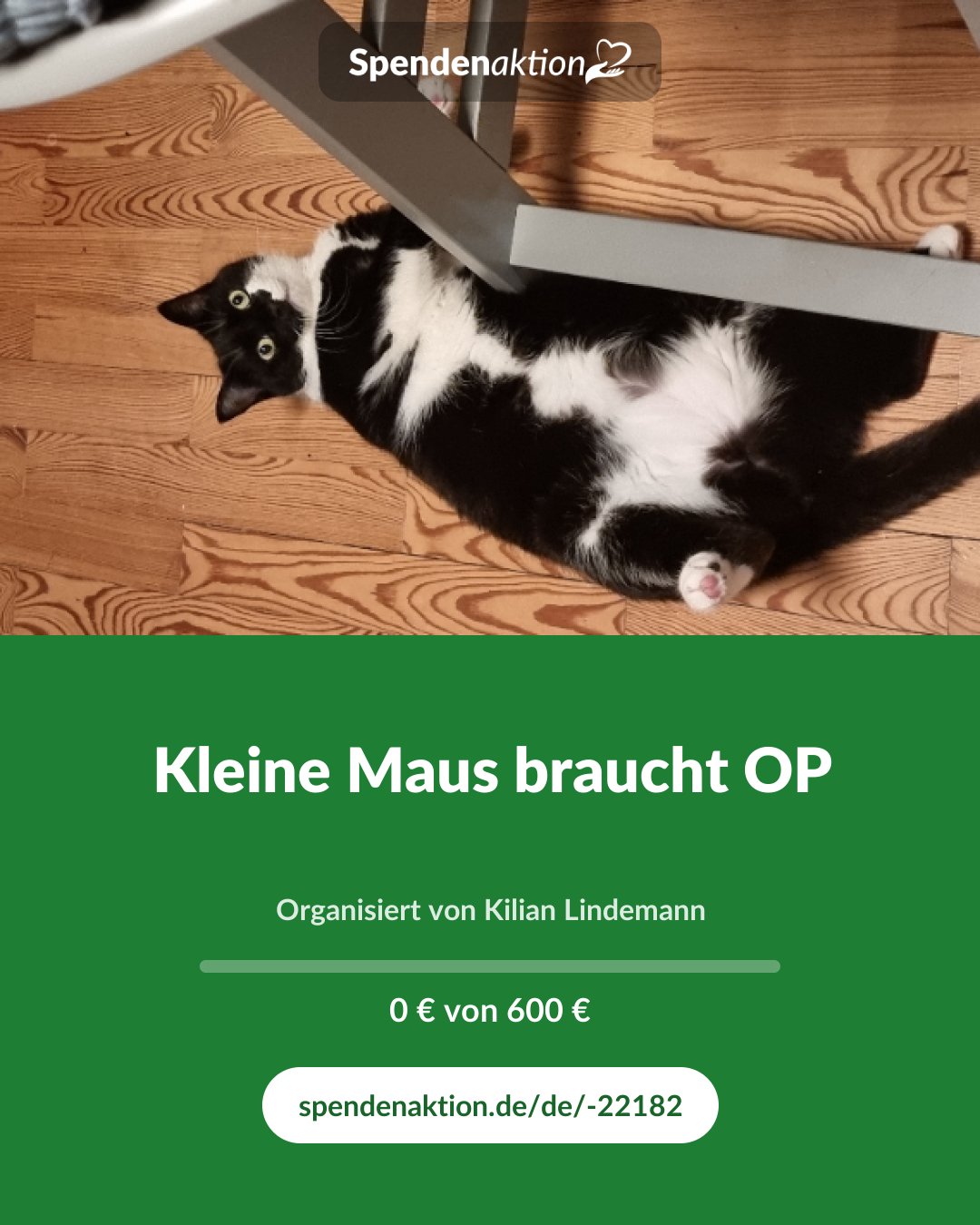 Vorschau des Bildes