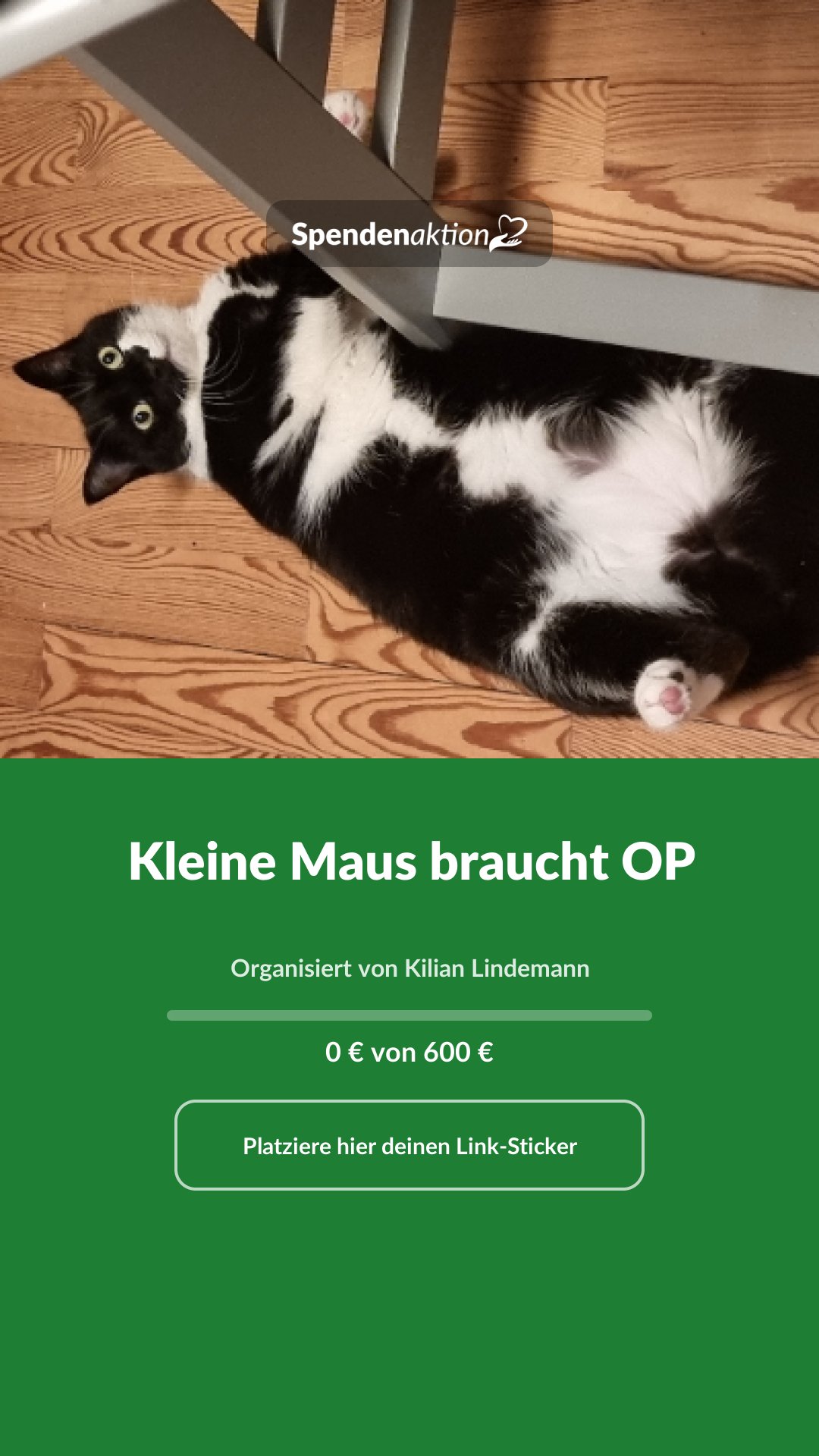 Vorschau des Bildes