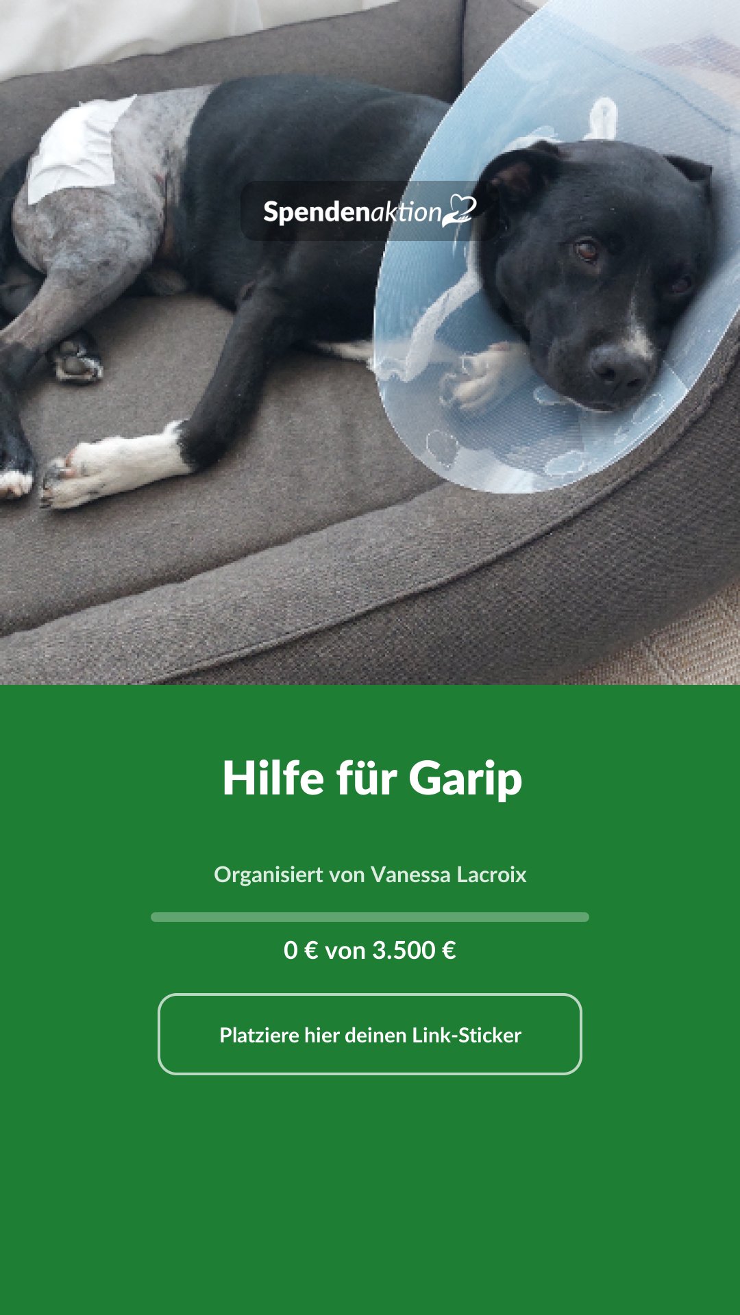 Vorschau des Bildes