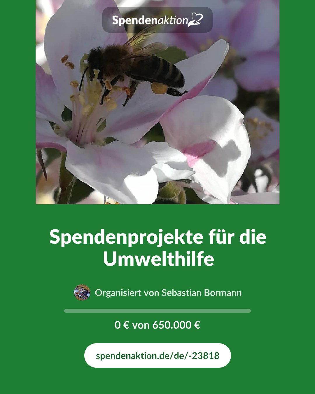 Vorschau des Bildes
