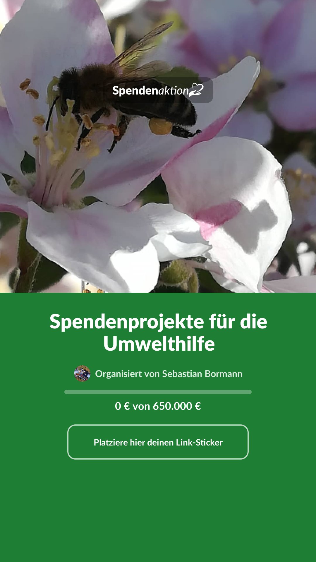 Vorschau des Bildes