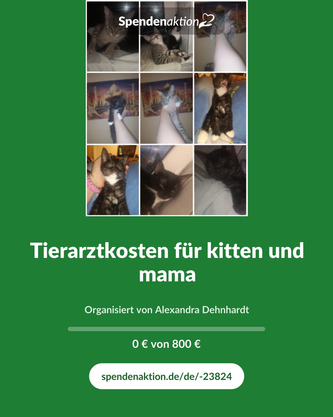 Vorschau des Bildes