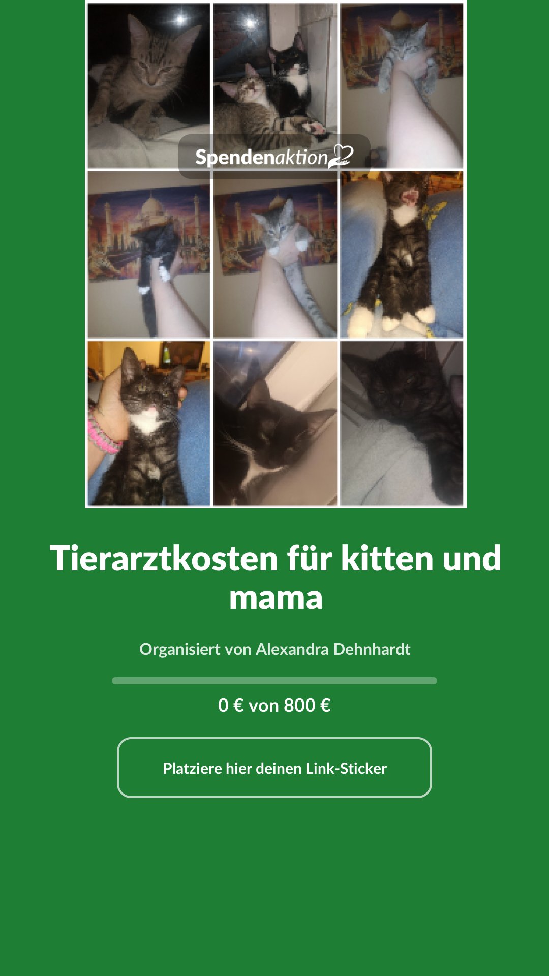 Vorschau des Bildes