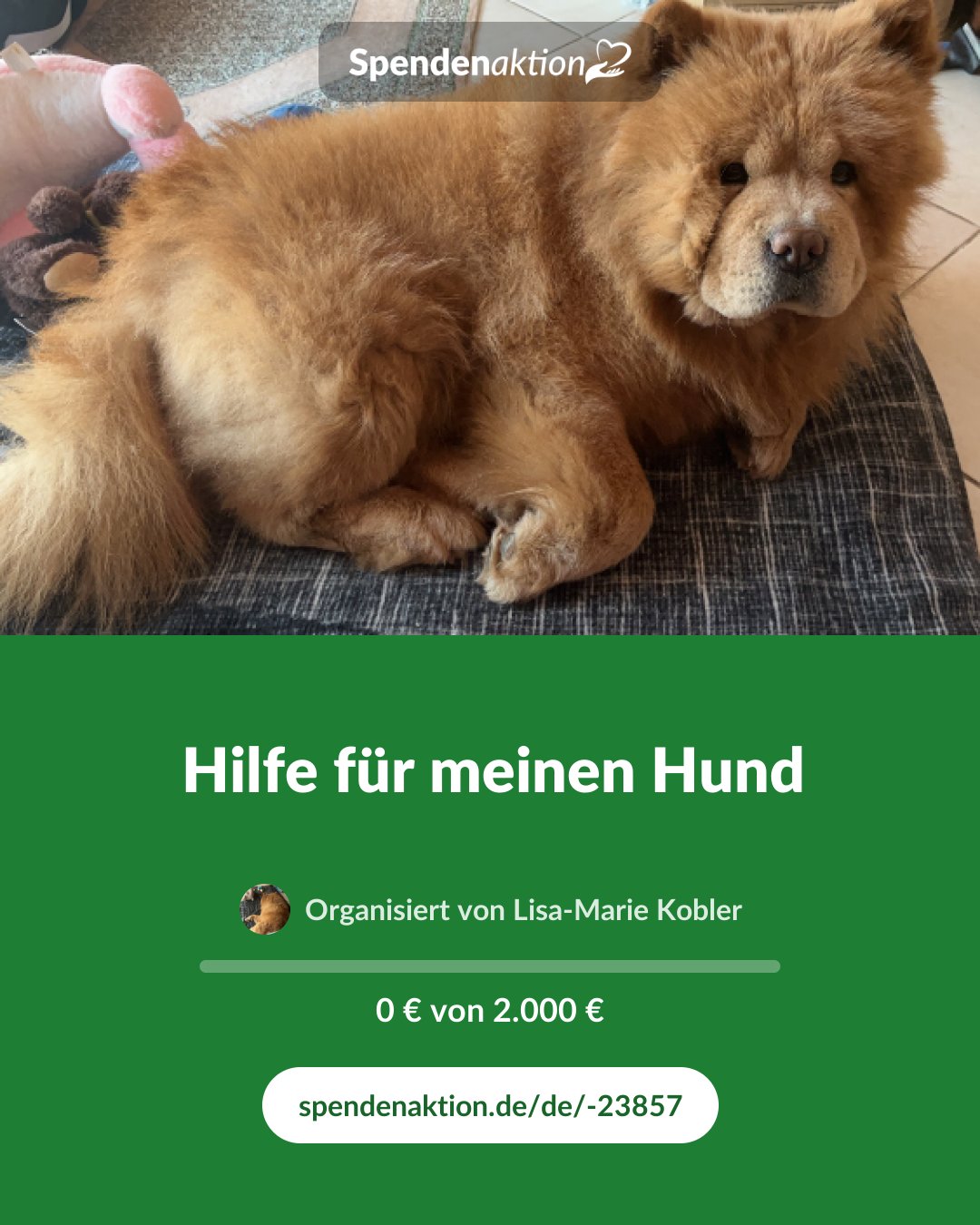 Vorschau des Bildes