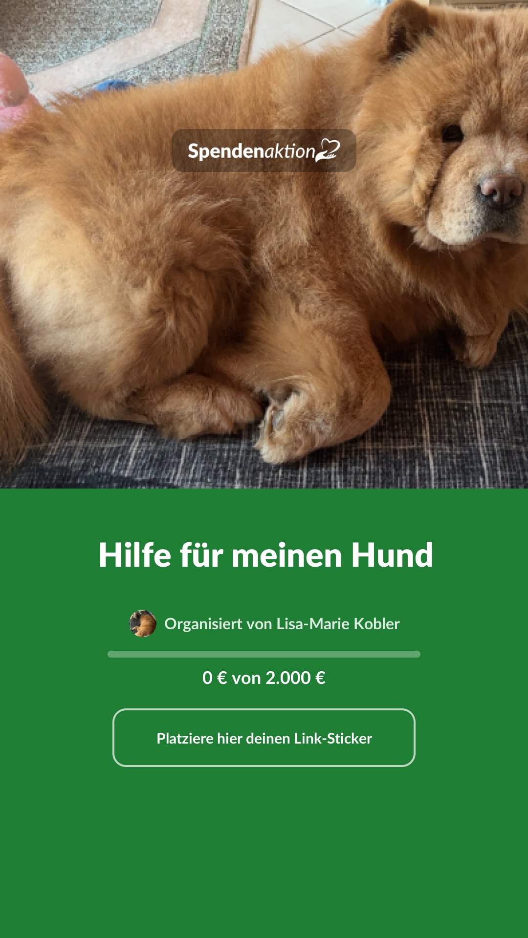 Vorschau des Bildes