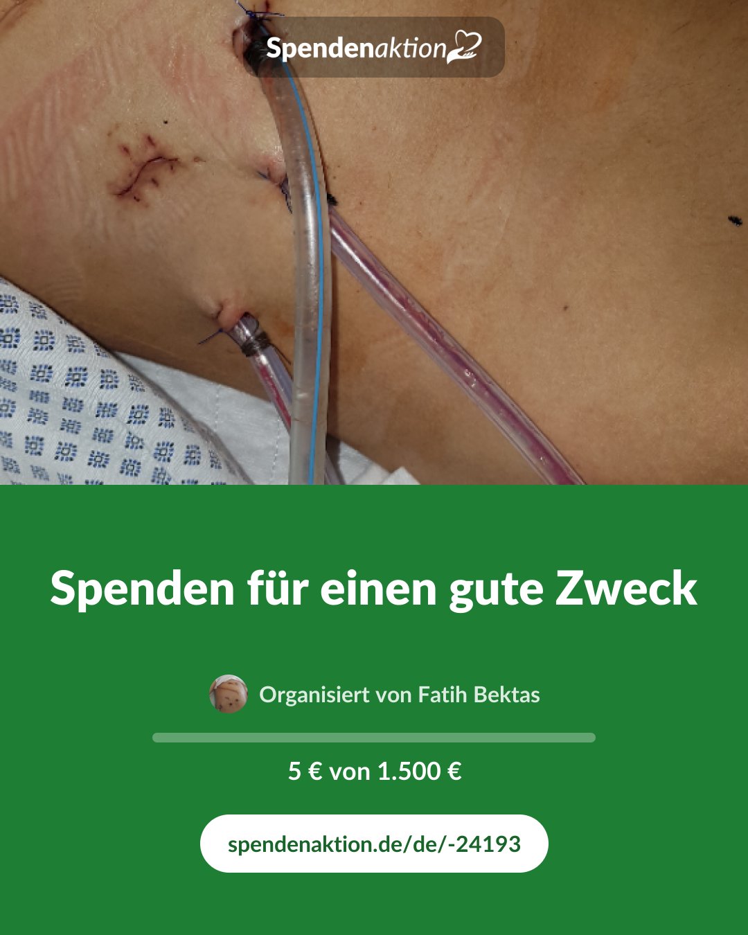 Vorschau des Bildes
