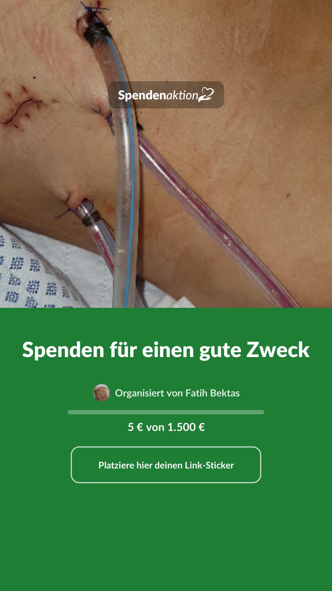 Vorschau des Bildes