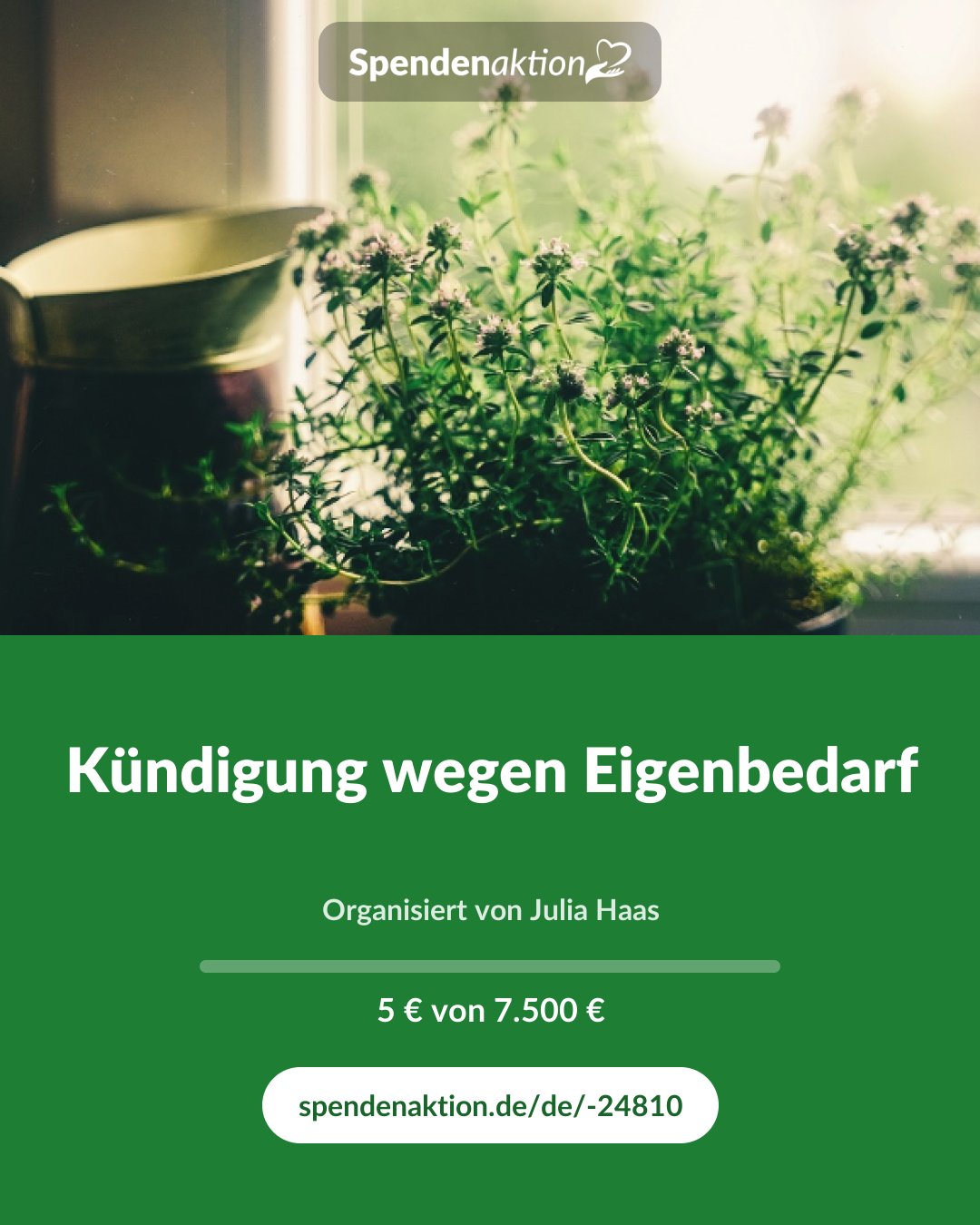 Vorschau des Bildes