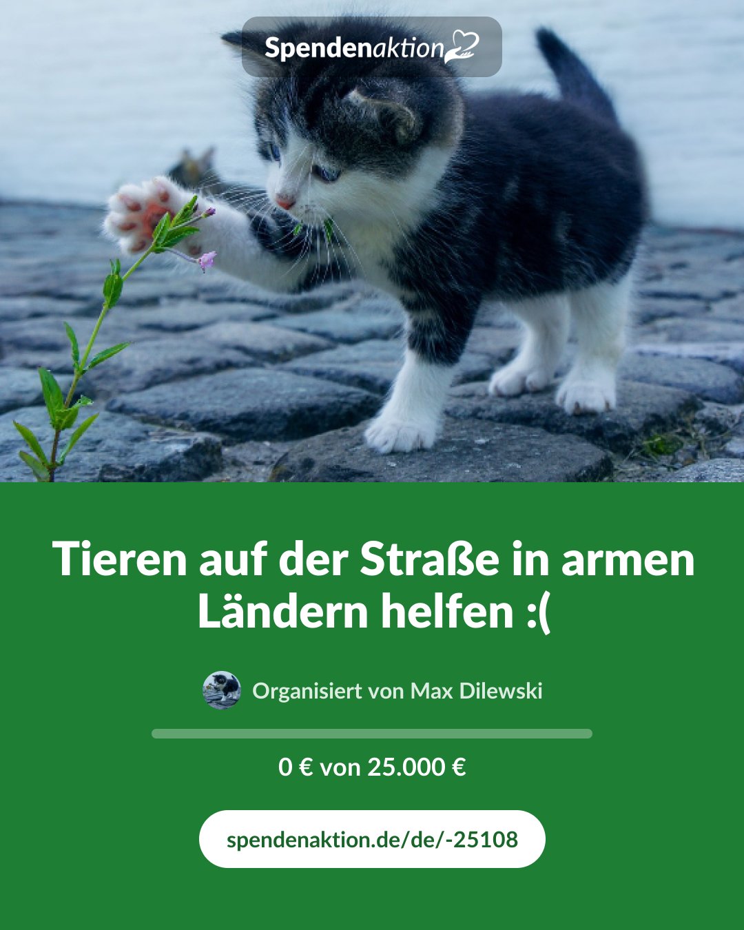 Vorschau des Bildes