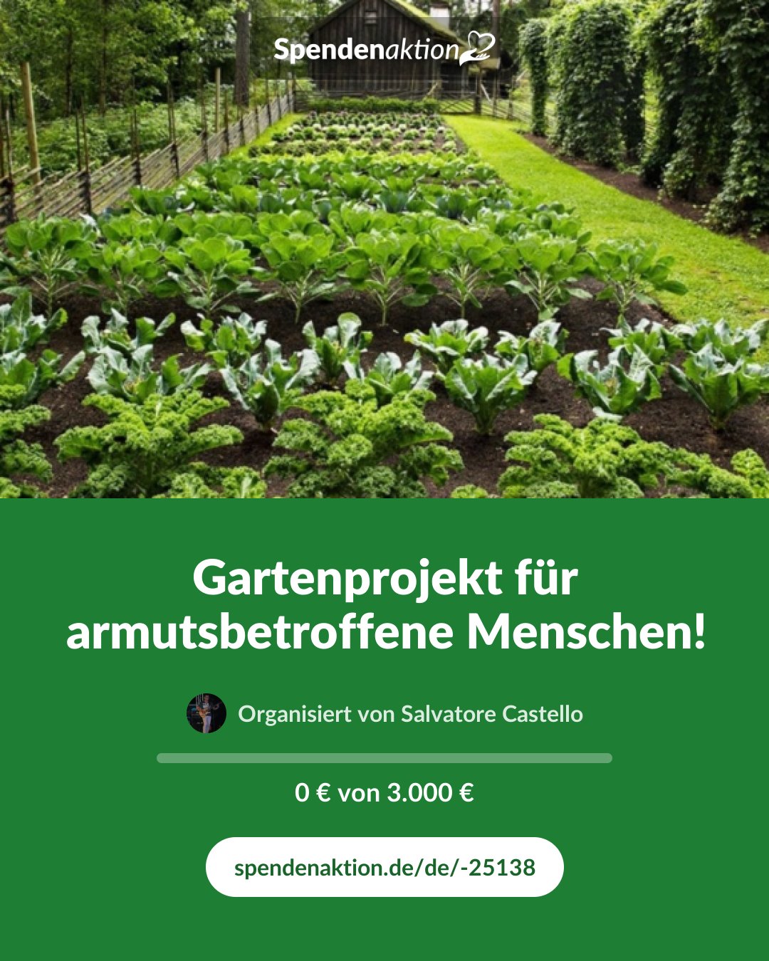 Vorschau des Bildes