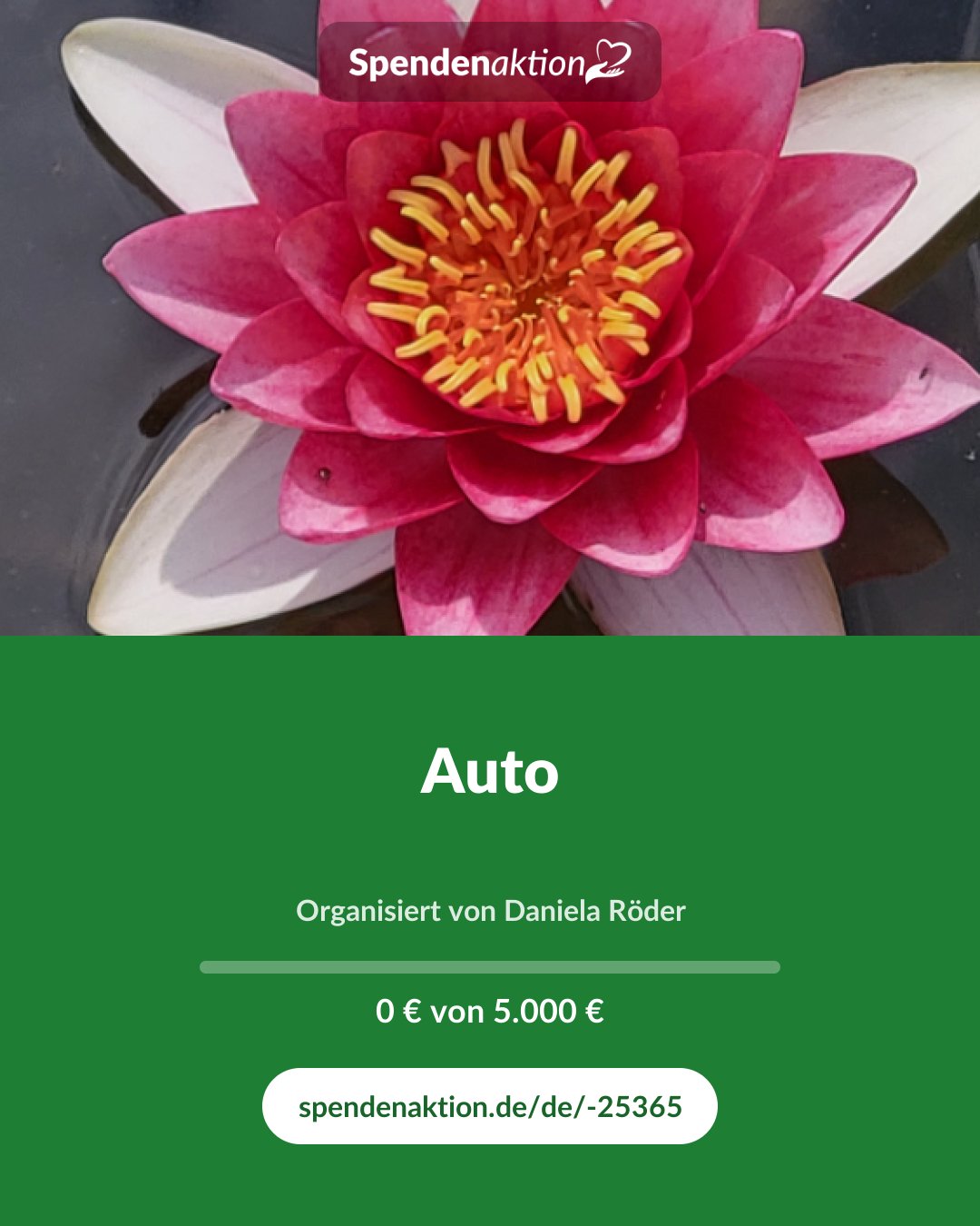 Vorschau des Bildes