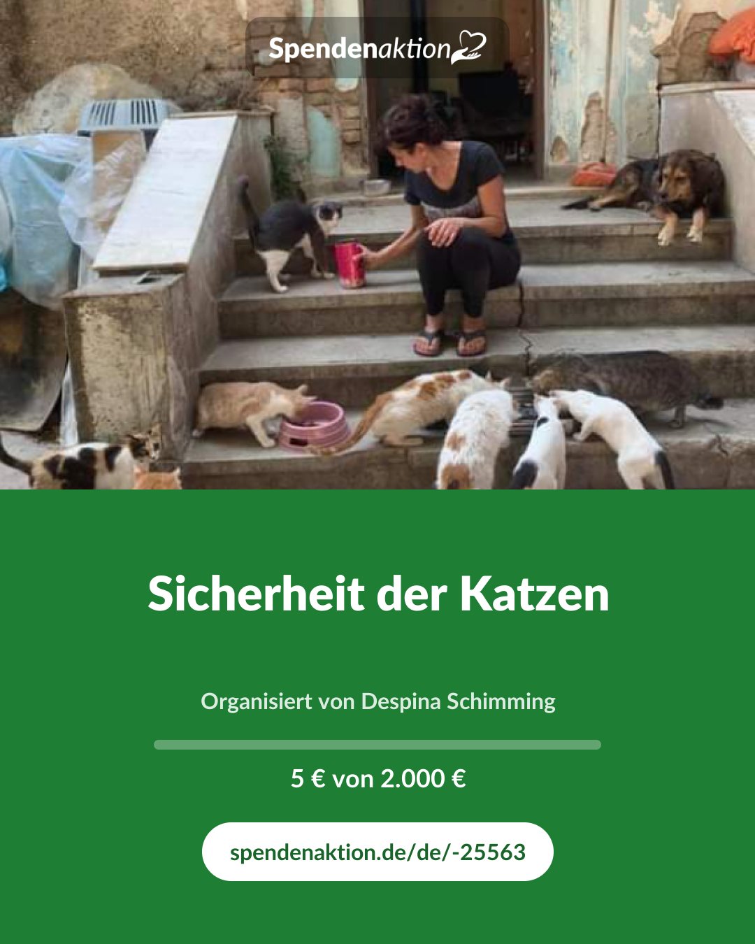 Vorschau des Bildes