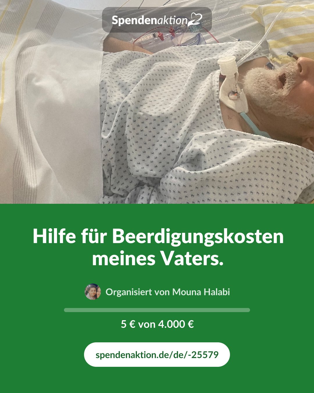 Vorschau des Bildes