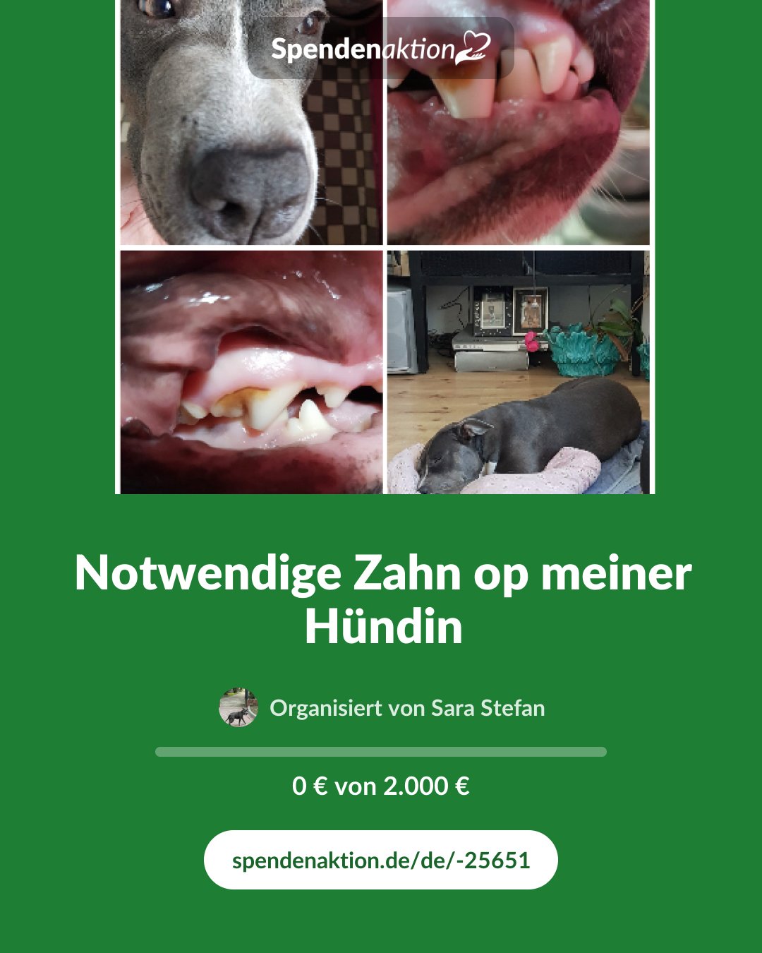 Vorschau des Bildes